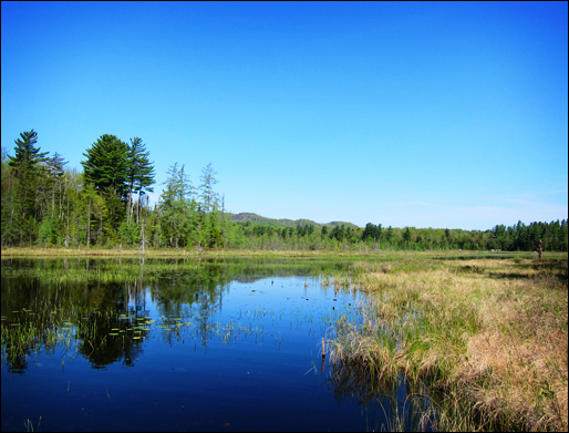 Adirondack Wetlands:  Heron Marsh at the Paul Smiths VIC